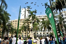 ¡Mirá ve, ya podemos encontrarnos de nuevo en la Plaza de Cayzedo!