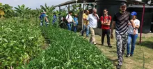 Huertas comunitarias recibieron visita ‘en familia’ del equipo de Gobierno 