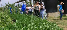 Huertas comunitarias recibieron visita ‘en familia’ del equipo de Gobierno 