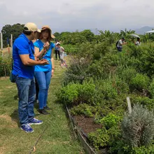 Huertas comunitarias recibieron visita ‘en familia’ del equipo de Gobierno 