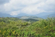 ‘Corazón de Pance’: una apuesta de ciudad para la mitigación y adaptación al cambio climático