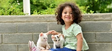 30 animales buscan un nuevo hogar que les brinde amor y protección