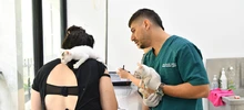 30 animales buscan un nuevo hogar que les brinde amor y protección