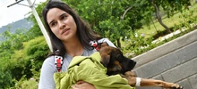 30 animales buscan un nuevo hogar que les brinde amor y protección