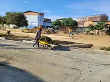 Empezó a reverdecer el Bulevar de Oriente