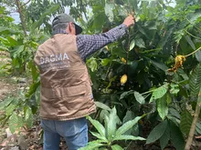 Dagma continúa con el acompañamiento a huerteros y huerteras de Cali