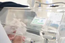 Este 19 de mayo se celebra el ‘Día Mundial de la donación de leche humana’