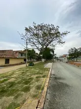 Comenzó el traslado de árboles en el Bulevar de Oriente