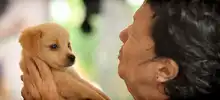 Una cita con el amor: caleños se sumaron a la gran jornada de adopción de animales del CBA