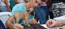 Una cita con el amor: caleños se sumaron a la gran jornada de adopción de animales del CBA