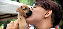 Una cita con el amor: caleños se sumaron a la gran jornada de adopción de animales del CBA