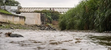 La nutria del Río Cali, también se fue de recorrido por las obras de Parque Pacífico
