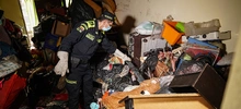 Allanan vivienda para rescatar animales víctimas de maltrato y abandono