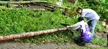 Con pala en mano, gestores comunitarios avanzan con la instalación de huertas urbanas en comedores de Cali