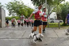 En fotos: adrenalina, alegría, deporte y diversión en la CicloVida RUN 7K de la Familia