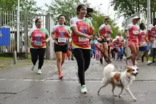 En fotos: adrenalina, alegría, deporte y diversión en la CicloVida RUN 7K de la Familia
