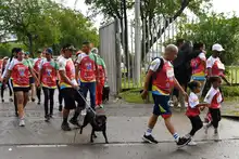 En fotos: adrenalina, alegría, deporte y diversión en la CicloVida RUN 7K de la Familia