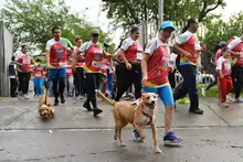 En fotos: adrenalina, alegría, deporte y diversión en la CicloVida RUN 7K de la Familia