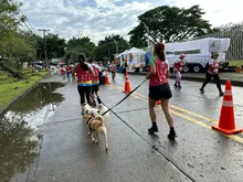 En fotos: adrenalina, alegría, deporte y diversión en la CicloVida RUN 7K de la Familia