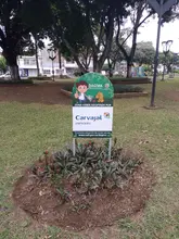 ¿De qué trata el programa ‘Zonas de Adopción’ en Cali?