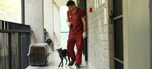 “El CBA no es un espacio para abandonar animales”: Unidad de Protección Animal
