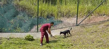 “El CBA no es un espacio para abandonar animales”: Unidad de Protección Animal