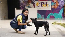 “El CBA no es un espacio para abandonar animales”: Unidad de Protección Animal