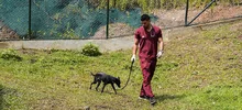 “El CBA no es un espacio para abandonar animales”: Unidad de Protección Animal