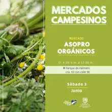 Fin de semana para ir a los ‘mercados campesinos’, comprar y felicitar a quienes cultivan nuestro campo