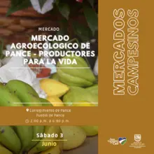 Fin de semana para ir a los ‘mercados campesinos’, comprar y felicitar a quienes cultivan nuestro campo