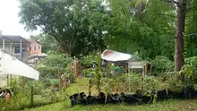En el Día del Medio Ambiente, estudiantes refrendan su compromiso con la seguridad alimentaria