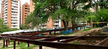 Proyecto Cristo Rey mantendrá el bosque seco tropical de Cali
