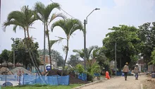 El verde es el color que predomina en el Bulevar de Oriente