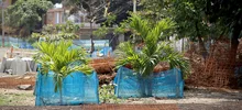El verde es el color que predomina en el Bulevar de Oriente