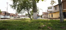 El verde es el color que predomina en el Bulevar de Oriente