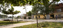 El verde es el color que predomina en el Bulevar de Oriente