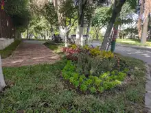 Parques y zonas verdes son el reflejo de nuestra ciudad