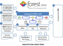 Infografia forest BPMN
