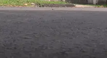 Calles del barrio Flora Industrial se renuevan con ‘Obras de Corazón’