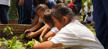 Comedor Corazón ContentovFundación Amadeus 449 (3)
