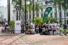 ¡Música, danza y artes plásticas en la Plaza de Cayzedo!