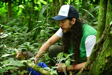 Gracias a labor del Dagma, fauna silvestre retorna a su hábitat