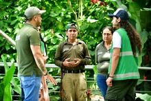 Gracias a labor del Dagma, fauna silvestre retorna a su hábitat