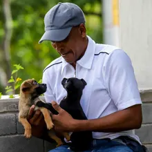 Familias respondieron a la jornada de adopción del Centro de Bienestar Animal de Cali