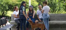 Familias respondieron a la jornada de adopción del Centro de Bienestar Animal de Cali