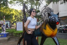 55 gacelas salieron de Neiva para ser recibidas en Cali