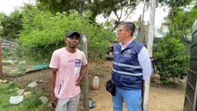 Huertas Urbanas en la ciudad, lugares que fortalecen el tejido social y la seguridad alimentaria.  