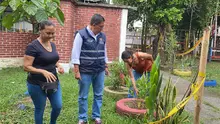 Huertas Urbanas en la ciudad, lugares que fortalecen el tejido social y la seguridad alimentaria.  
