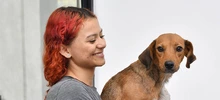 Cali realizará aportes a la Política Nacional de Protección y Bienestar Animal