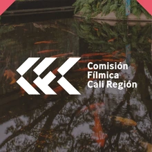 Cuenta regresiva para instalación de Comisión Fílmica Cali-Región  